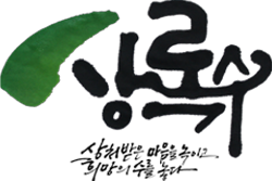 상록수, 상처받은 마음을 녹이고 희망의 수를 놓다